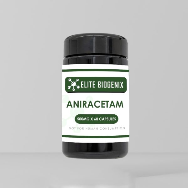 Aniracetam 500mg x 60 Capsules
